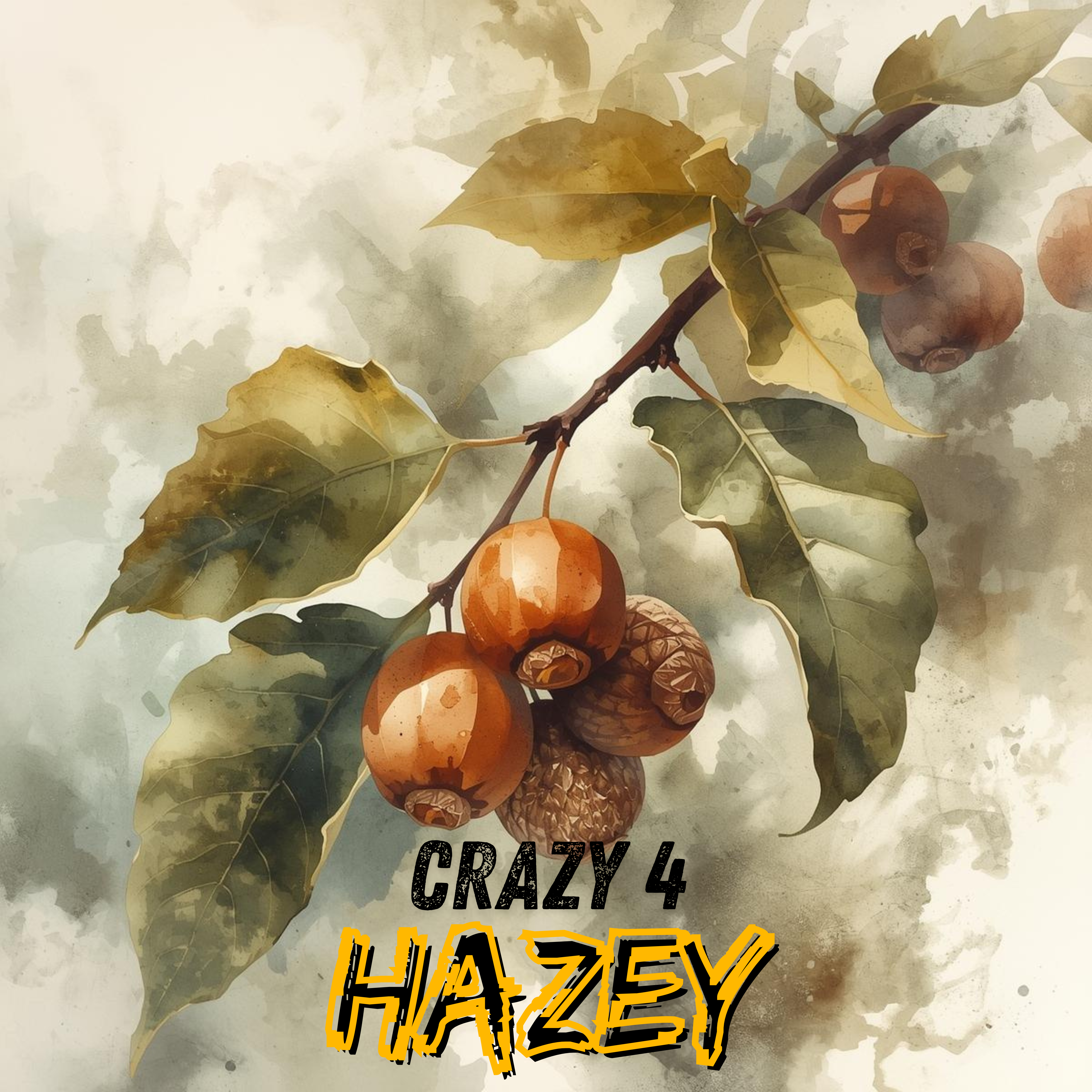 hazelnut coffee blend - Crazy 4 Hazey – Cool Coffee & Tea Co.