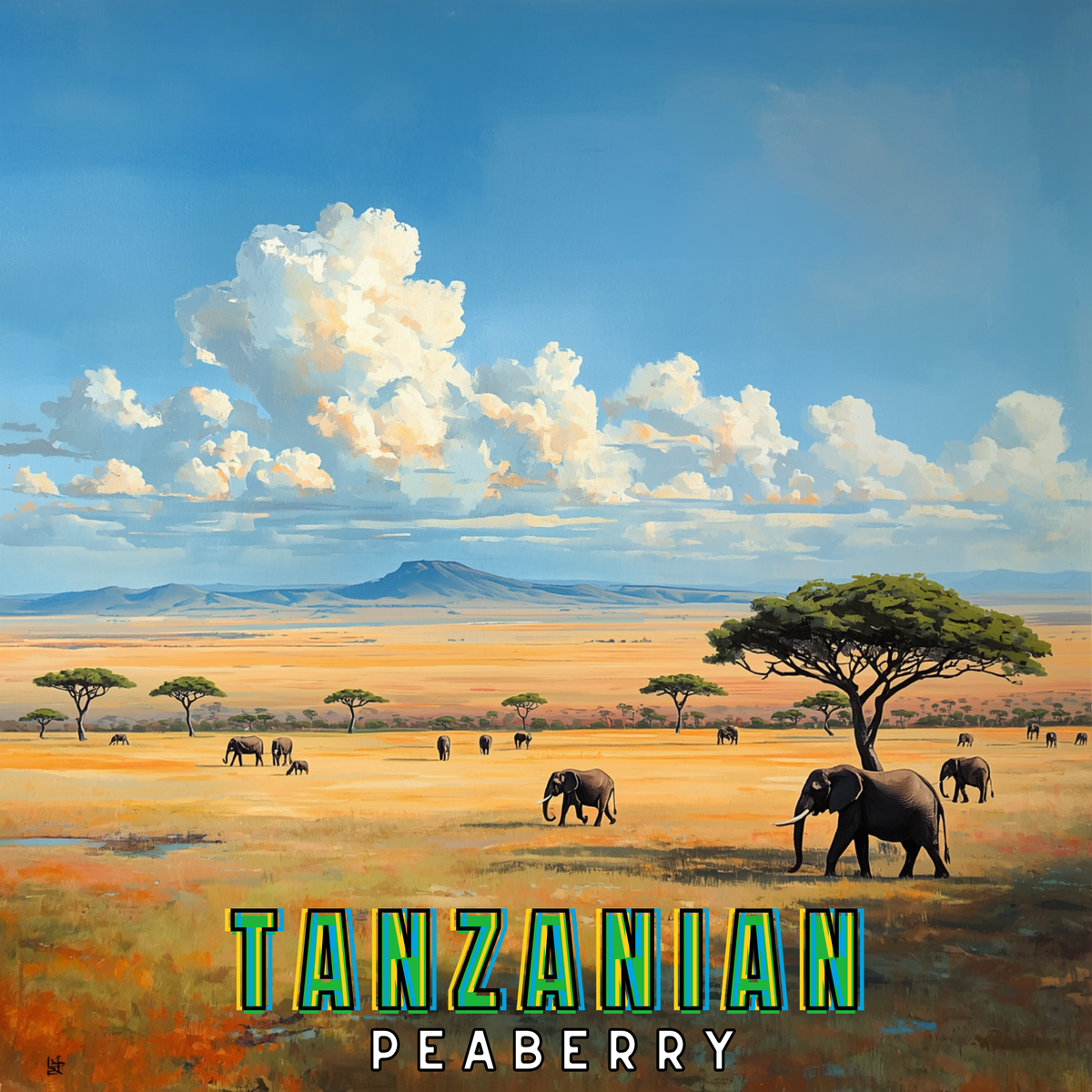 Tanzanian Peaberry